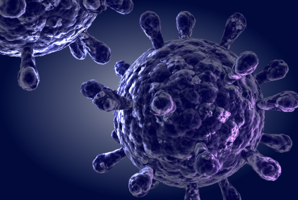 Viruses
