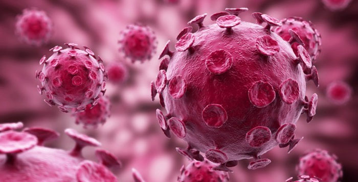 Identificadas proteínas naturales que bloquean el VIH y otros virus