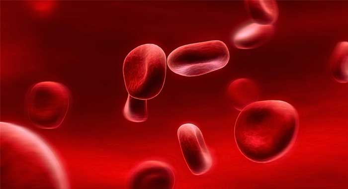 La anemia hemolítica autoinmune: lo que necesitas saber