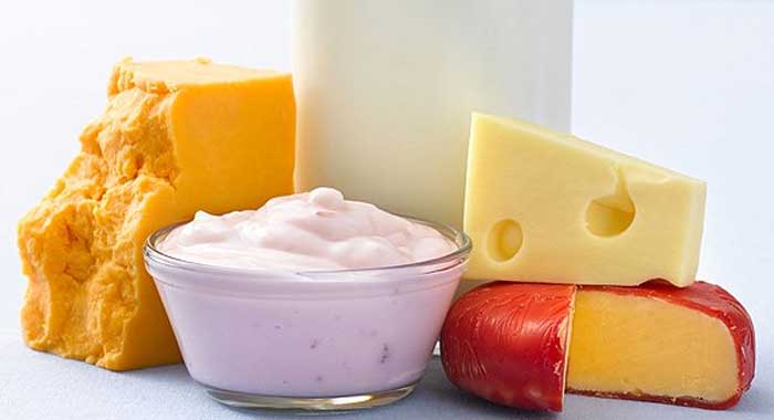 Resultado de imagen de queso y yogurt