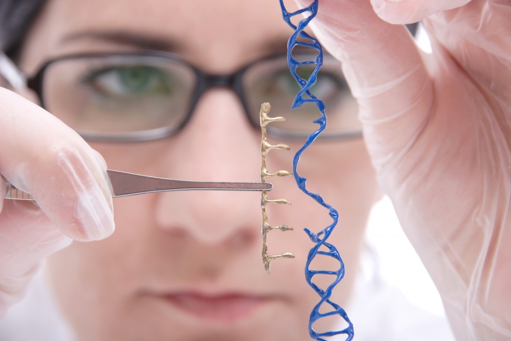 Diabetes: ¿la terapia genetica puede normalizar los ... Diabetes: ¿la terapia genetica puede normalizar los ...