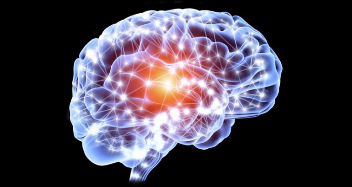 cerebro